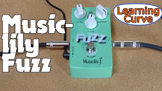 MusicLily Fuzz [upl. by Alekehs]