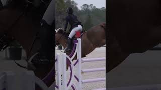 Helite Rider  Equestrian Excellence Unleashed Flawless Jump That Wins the Day [upl. by Ahsitak]