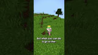 The MOST hidden minecraft version 👀🧺 [upl. by Rasia877]