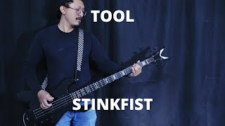 Tool  Stinkfist bass cover [upl. by Peoples620]