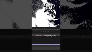 How to create a Pop Art Video Effect in Adobe Premiere Pro CC [upl. by Arlon]