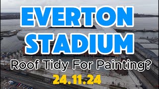 NEW Everton Stadium Bramley Moore dock Roof Ready For Painting [upl. by Cassi]