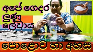 Grade 5 Parisaraya Polowa ha Ahasa පොළොව හා අහස ලුණු Niwanthika Teacher [upl. by Skiba]