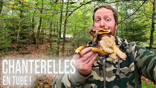 🍄 À la Recherche des Chanterelles en Tube Elles poussent malgré la sécheresse  😮 [upl. by Namlak]