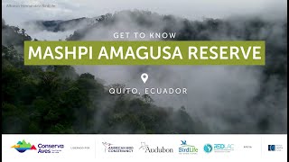 Get to Know Mashpi Amagusa Reserve [upl. by Nnaeilsel266]