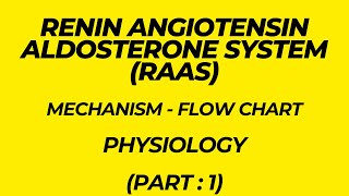 Renin Angiotensin Aldosterone System RAAS Mechanism  Flow chart Physiology Part 1 [upl. by Kattie178]