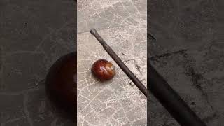 Casting Melting Aluminum into Shells out of Scrap Perfect Restore shorts viralvideo reels [upl. by Orsola938]