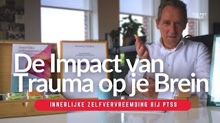 Trauma en PTSS  ontdek de impact van een traumatische gebeurtenis op je brein [upl. by Jeconiah]