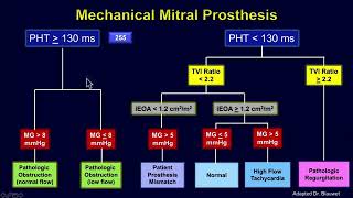 Echocardiographic Evaluation of Mitral Valve Prostheses [upl. by Adnilim]