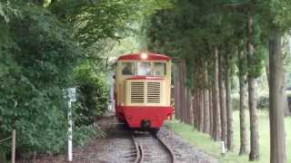 なかよし鉄道尾小屋鉄道特別運行 DC121ホハフ3ホハフ8キハ1 [upl. by Roseanne]