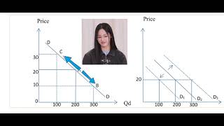 quotChange in Quantity Demanded vs Change in Demand  Key Differences Explained  Economics 101quot [upl. by Avigdor]