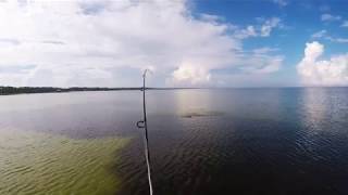 Inshore fishing in Port St Joe family friendly [upl. by Eessej159]