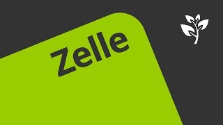 Zellen und Zellformen  Biologie  Cytologie [upl. by Rehpretsirhc209]