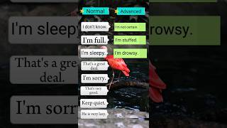 quotTransform Your English Normal vs Advanced Sentences  FluentFocusquotshorts [upl. by Ihsar885]