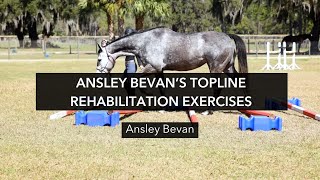 Ansley Bevan Topline Masterclass Lesson [upl. by Rebmak]