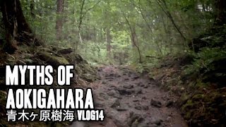 Aokigahara Jukai  青木ヶ原樹海  Vlog14 with JD [upl. by Adnilemreh]