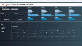 Cherrywork® Advanced Metering Analytics Application MetertoCash [upl. by Arayc]