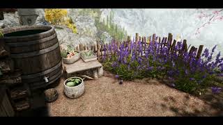 Clear Spring Cottage  Skyrim Special Edition  Player home [upl. by Ilahsiav234]