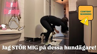 Varför en dansk svensk gårdshund Speed Cleaning  VLOGG [upl. by Tillo806]