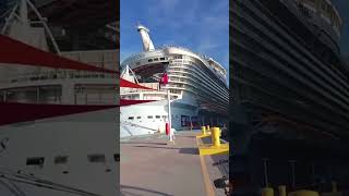 ROYAL CARIBBEAN SHIPS😲ALLURE amp ANTHEM ❤cruise cruiseship seamans shorts shortvideo short yt [upl. by Poree775]