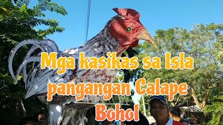 Kasikas sa isla Pangangan island Calape Bohol [upl. by Enirual]