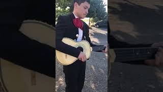 Solo de vihuela quotel cascabelquot Mariachi Vargas de Tecalitlán [upl. by Leahsim299]