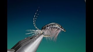 Tying a Gammarus shrimp with Barry Ord Clarke [upl. by Alyekahs]