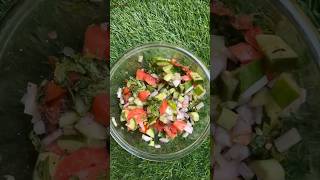 Kachumar Salad  Salad Bar Part 3 kachumbersalad saladbar viralvideo shadiwalasalad cooking [upl. by Rains]