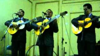 moliendo cafe trio dos generacionesmpg [upl. by Melania670]