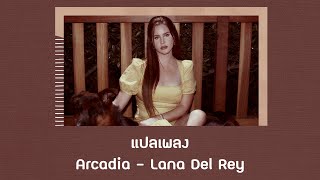 แปลเพลง Arcadia  Lana Del Rey Thaisub ความหมาย ซับไทย [upl. by Eugnimod415]