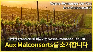 Engsub Vosne Romanee 1er Cru AuxMalconsorts [upl. by Jaine]