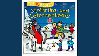 Ein bisschen so wie Martin [upl. by Gratianna52]