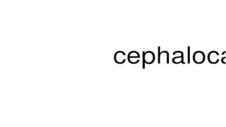 How to pronounce cephalocaudal [upl. by Anileba617]