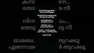 നീ ഉറങ്ങുവോളം Song lyrics malayalam music song shorts lyrics malayalam Irfanachemban [upl. by Sitnalta362]