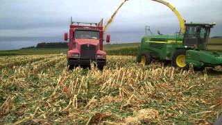 Grinding Earlage with 12row header using Kooima Ag earlage adapter [upl. by Arvad]