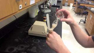 Lab Protocol  Fermentation in Yeast Unit 9 Respiration [upl. by Gaylor]