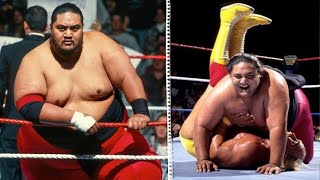 Yokozunas Impact Legendary Sumo Warrior [upl. by Tabib252]