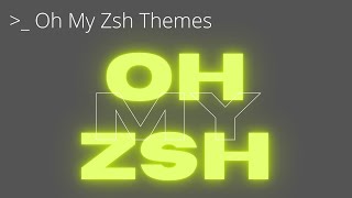 03  With Linux  Oh My Zsh Themes To Change The Look Of your ZSHl agnoster bira amuse sorin [upl. by Leuqar]