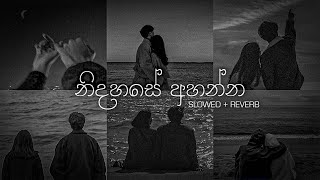 නිදහසේ අහන්න sinhala slowed  Reverb Collections  DEZTER BEATS [upl. by Davidson]