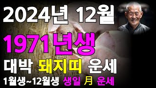 71년생 12월 돼지띠 운세 대폭발 대운의 흐름을 잡아라 돼지띠12월운세 71년생12월운세 71년12월운세 [upl. by Alioz]