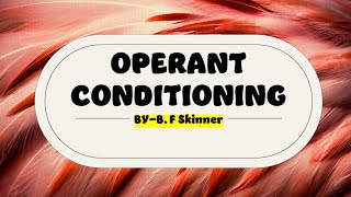 Operant Conditioning [upl. by Lowney]