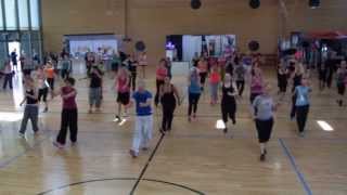 BACK 2 BASIC AEROBICS by Schweppy  IFAA Festival Heidelberg  Germany [upl. by Aicaca]