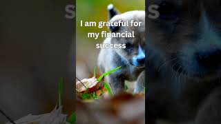 Rewire for Wealth  Abundance Affirmations That Work [upl. by Noitna]