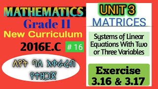 Grade 11 Maths ll Unit 3 Ex 316 317 Maths With Fikru New Curriculum [upl. by Melisande850]