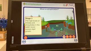 KS4GCSEBIOLOGYEcologyEutrophication [upl. by Orpah]