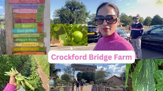 Crockford Bridge Farm Vegetable amp Fruits Selling  Farmers Hard Worker farming The Mahalaxmi Show [upl. by Ladew]