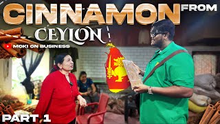 Worlds Best Cinnamon  Sri Lanka Part 1  Moki On Business [upl. by Lewak206]