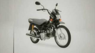 Honda Pop 100 [upl. by Rod]