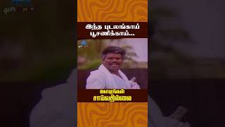 இந்த புடலங்காய் பூசணிக்காய்  Gopurangal Saivathillai Comedy  Vinu Chakravarthy  ytshorts [upl. by Annabel796]