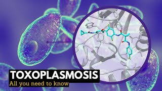 Toxoplasmosis What You Need To Know [upl. by Anirac]